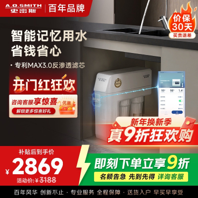 史密斯净水器家用整机保5年 3:1高水效专利MAX3.0反渗透滤芯1.6升/分钟厨下式直饮净水机R1600HWi-EE