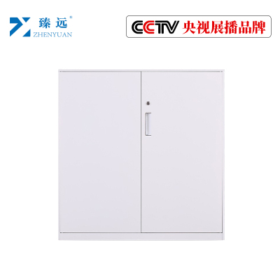 臻远文件柜办公柜钢制铁皮柜资料档案储物柜拆装窄边柜纯白色加厚款 925对开铁柜