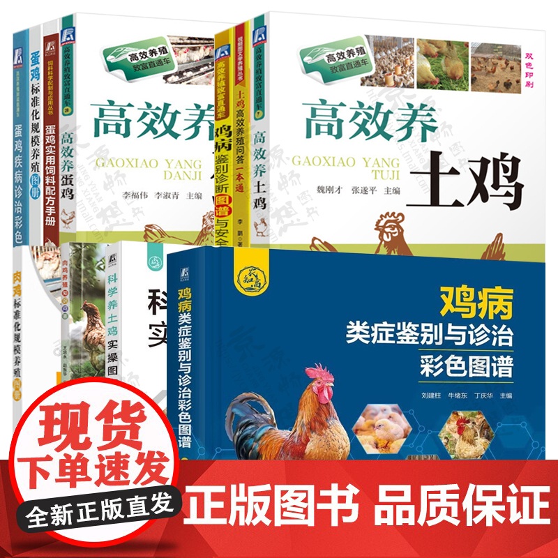 养鸡技术大全 高效养蛋鸡土鸡 饲料配方手册 鸡病鉴别诊断图谱与安全用药 肉鸡标准化规模养殖 土鸡肉鸡蛋鸡养殖技术书籍 养