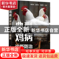 正版 典型鸡病诊断防治彩色图谱 郎跃深,倪印红,石建存 化学工业