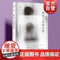暴雨下在病房里 单读系列苏方短篇小说集收录上海文艺出版社现当代文学 另著一些时刻/异乡记