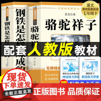 骆驼祥子和海底两万里正版原著钢铁是怎样炼成的七年级下册必读的课外书骆驼祥子老舍原著朝花夕拾鲁迅西游记 阅读课外书