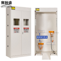 赛颐盛气瓶柜双瓶台