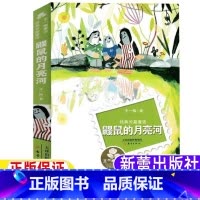 鼹鼠的月亮河 [正版]鼹鼠的月亮河二年级三年级必读课外书新蕾出版社王一梅经典长篇童话系列小学生青少年非注音版天津出版传媒