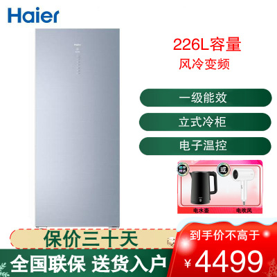 海尔(Haier)226升家用立式冰柜冷柜冷藏冷冻柜小冰箱 风冷无霜 多层独立分区 立式占地小 BD-226WEGLU1