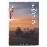 正版新书]天地一飞鸿(一位东方才情女子历练而为西方资深政府官