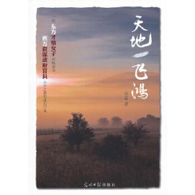 正版新书]天地一飞鸿(一位东方才情女子历练而为西方资深政府官
