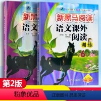 语文课外阅读训练A版+B版 小学六年级 [正版]2024新版 新黑马阅读语文课外阅读训练小学6年级A版B版六年级上册下册