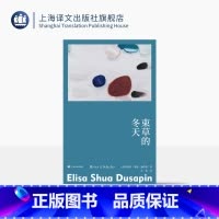 束草的冬天 [正版]束草的冬天 故事群岛 [法]埃莉萨·秀雅·迪萨潘 著 狄佳 译 罗伯特·瓦尔泽奖 法韩混血女作家首作