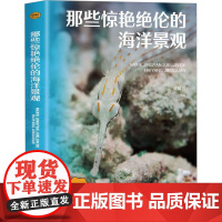 那些惊艳绝伦的海洋景观 武鹏程 编 自然科学总论专业科技 正版图书籍 海洋出版社