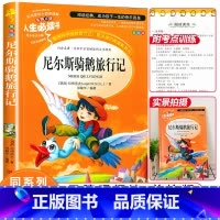 [正版]尼尔斯骑鹅旅行记原著完整版小学生三四五六年级下册必读课外阅读书籍彩图绘本老师9-10-12岁青少年版儿童文学书