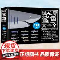 正版 世界鲨鱼大全 裙带菜 简体中文 125种鲨鱼图鉴手绘自然科普百科海洋生物动物图画册百科全书中国画报出版探索鲨鱼