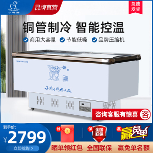 小鸭(xiaoya)冷柜商用岛柜大容量冷藏冷冻冰柜雪糕卧式冰箱超市玻璃展示柜SD/SC2000双机双控