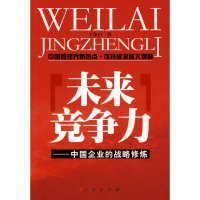 音像未来竞争力――中国企业的战略修炼王象山