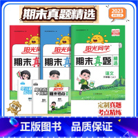 山东专版[期末真题卷]语+数+英 人教版 一年级上 [正版]期末真题卷精选小学一二年级三年级四年级五六年级上册下册语文数