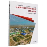 [N]让纳若尔油田气举采油技术研究与实践-9787518365944