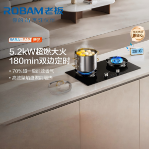 老板(Robam)E2P燃气灶联动定时灶家用厨房炉具配件灶台灶具 5.2kW 70%热效率56BA-E2P 天然气