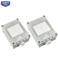 西瑞思-防爆开关一开/二开 XRS-DFG/个