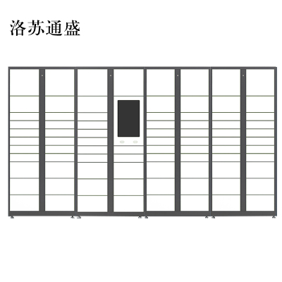 洛苏通盛智能快递柜小区快递自提柜派件柜室外寄存柜信报箱储物柜一主三副83格