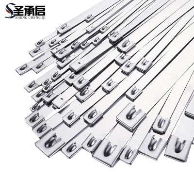 圣承启 铁扎带 4.6*1100mm根