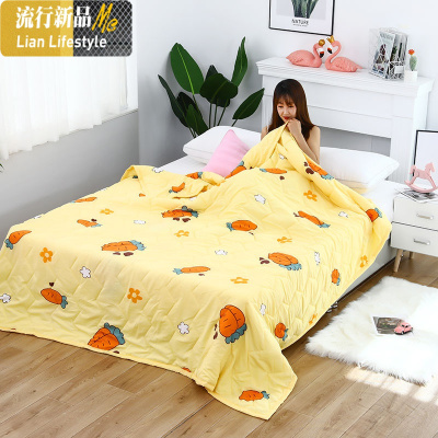 水洗棉夏被可机洗夏凉被空调被夏季单双人学生春秋被薄款儿童被子 三维工匠