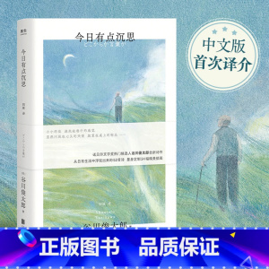 标准 [正版]光尘图书光尘图书 今日有点沉思 谷川俊太郎全新诗集光尘图书
