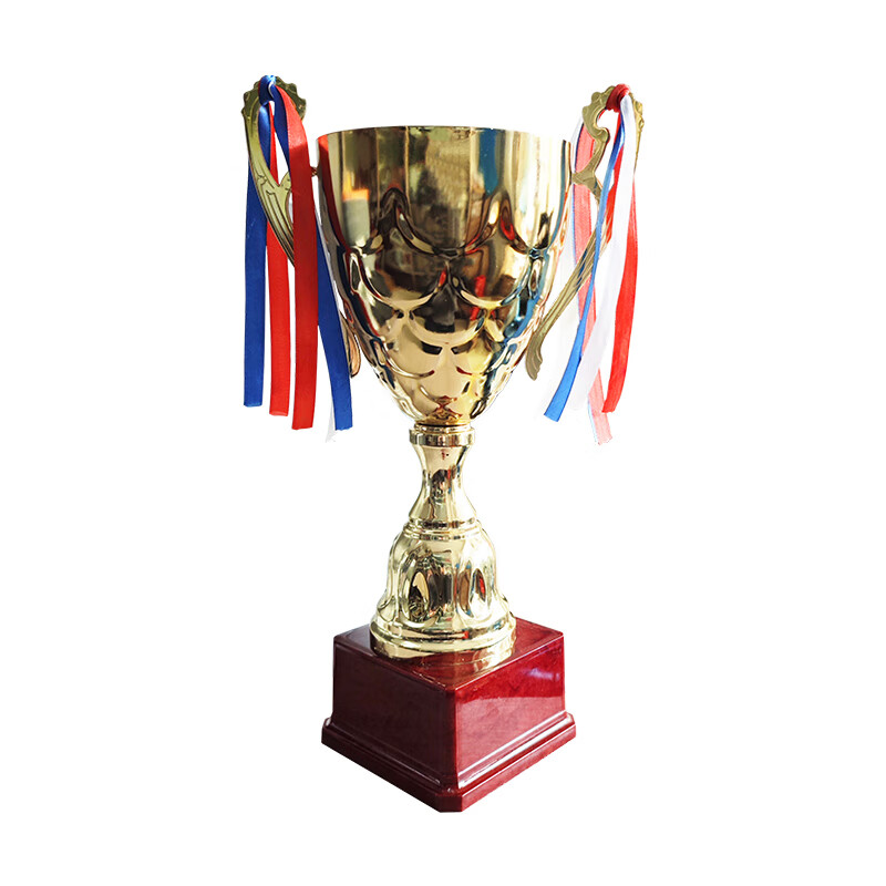 春羽宏博 金属奖杯 定制款 J8081/个