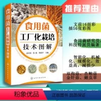 [正版]食用菌工厂化栽培技术图解 双孢菇金针菇蛹虫草工厂化生产菌种制作栽培病虫害防治保鲜加工技术书籍 机械自动化设备菌