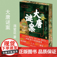 大唐谜案 蒋爱花 著 历史