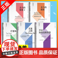 正版5册 开启你的高维智慧+无量之网+念力的秘密:释放你的内在力量1 2+疗愈场 共5册 心灵与科学系列2020全新修订
