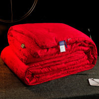 美帮汇冬季被子被芯加厚保暖冬被婚庆结婚喜被陪嫁双人春秋床上被褥用品