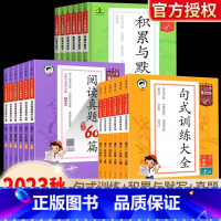 句式训练大全[上册] 小学三年级 [正版]2023新版53积累与默写句式训练大全二年级一年级三年级四五六年级上册下册小学