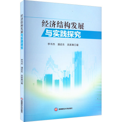 经济结构发展与实践探究