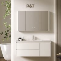 瑞尔特现代轻奢挂墙式卫浴家具Y1053一体陶瓷盆