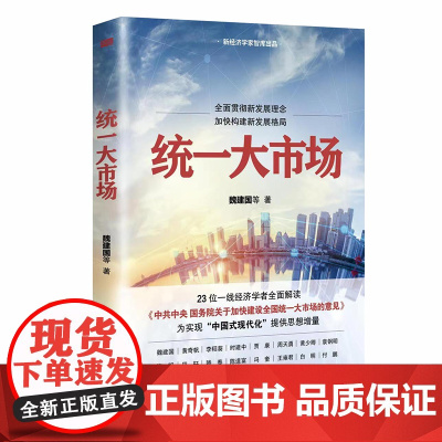 统一大市场 “构建新发展格局”书目