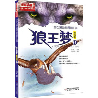 超时空大冒险