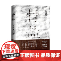 骨盐 陈再见 著 在生与死中 争得活着的价值与伟大 小说