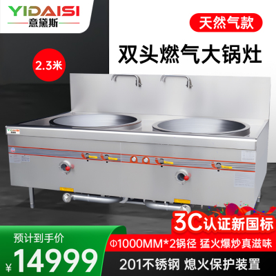 意黛斯 商用燃气大锅灶 猛火灶单位学校食堂电磁猛火大炒锅饭店酒店节能灶台双头100型 YDS-GSSD200T天然气