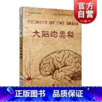 [正版]大脑的奥秘 中国科学院神经科学研究所 脑疾病 临床参考工具书 人体 科普读物 图书籍 上海科学技术出版社 世纪