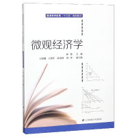 音像微观经济学(普通高等教育十三五规划教材)林燕