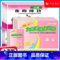 2024二模 语文[试卷+答案] [正版]2024版上海中考一模卷二模卷 语文数学英语物理化学历史道德与法治 试卷加答案