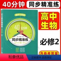 生物 必修第二册 [正版]40分钟同步精准练 高中生物BX2必修2 遗传与进化高中生物学 上海高中生命科学辅导书课后同步