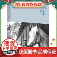 沈石溪臻奇动物小说文集豪情卷《罪马英雄》《象王泪》