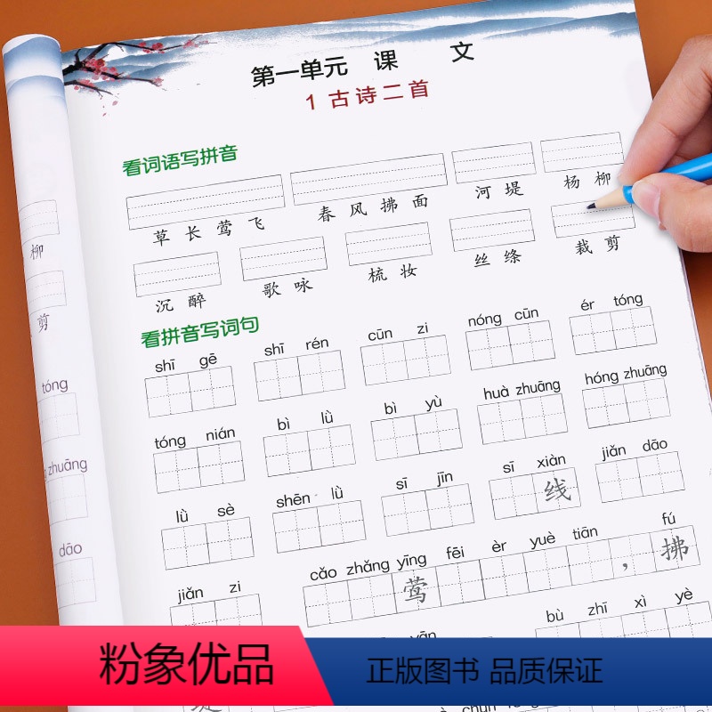 [正版]二年级下册看拼音写词语小学语文同步训练专项练习册人教版下练习配套人教版词语汉字生字注音写字本词语手册课堂基础辅