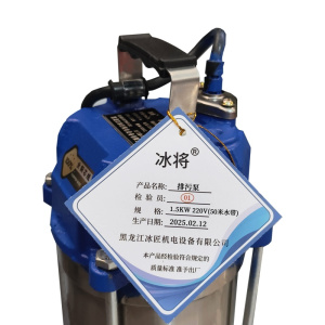 冰将 220V无堵塞不锈钢专用排污泵 台