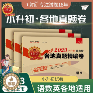 [醉染正版]小升初真题卷2023新版小升初刷题王朝霞小学升初中重点校各地真题精编试卷六年级语文数学英语专项分类训练小升初