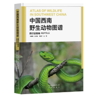 正版新书]中国西南野生动物图谱(爬行动物卷)朱建国总9787200144