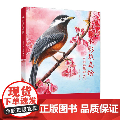 水彩花鸟绘——水彩画基础入门