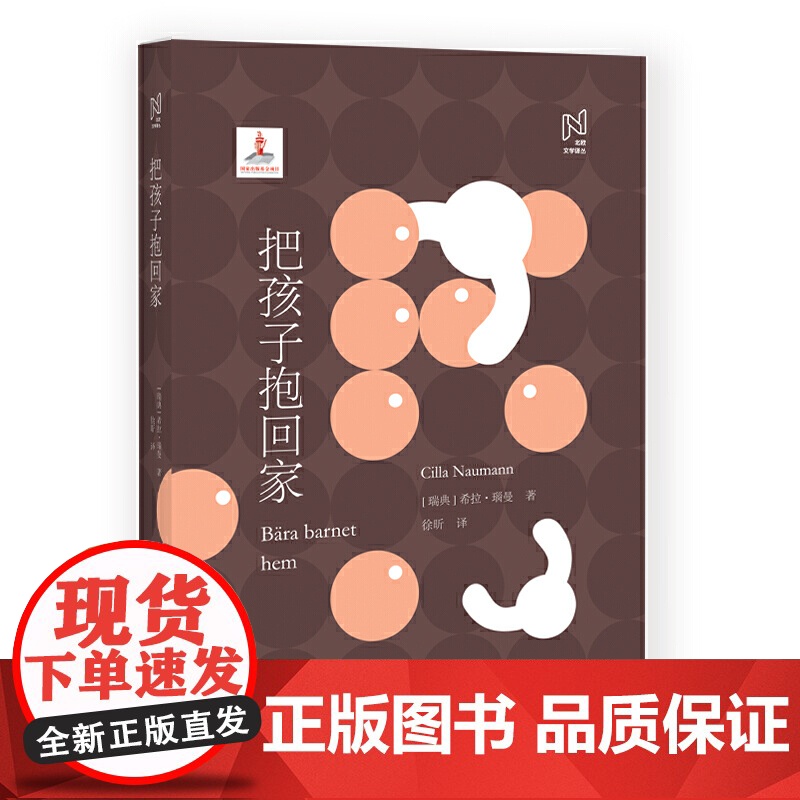 北欧文学译丛:把孩子抱回家