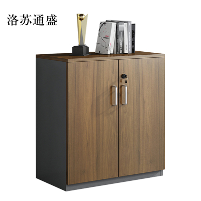 洛苏通盛办公室矮柜储物柜文件柜2门